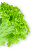 sallad